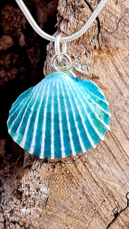 Porcelain shell jewellery