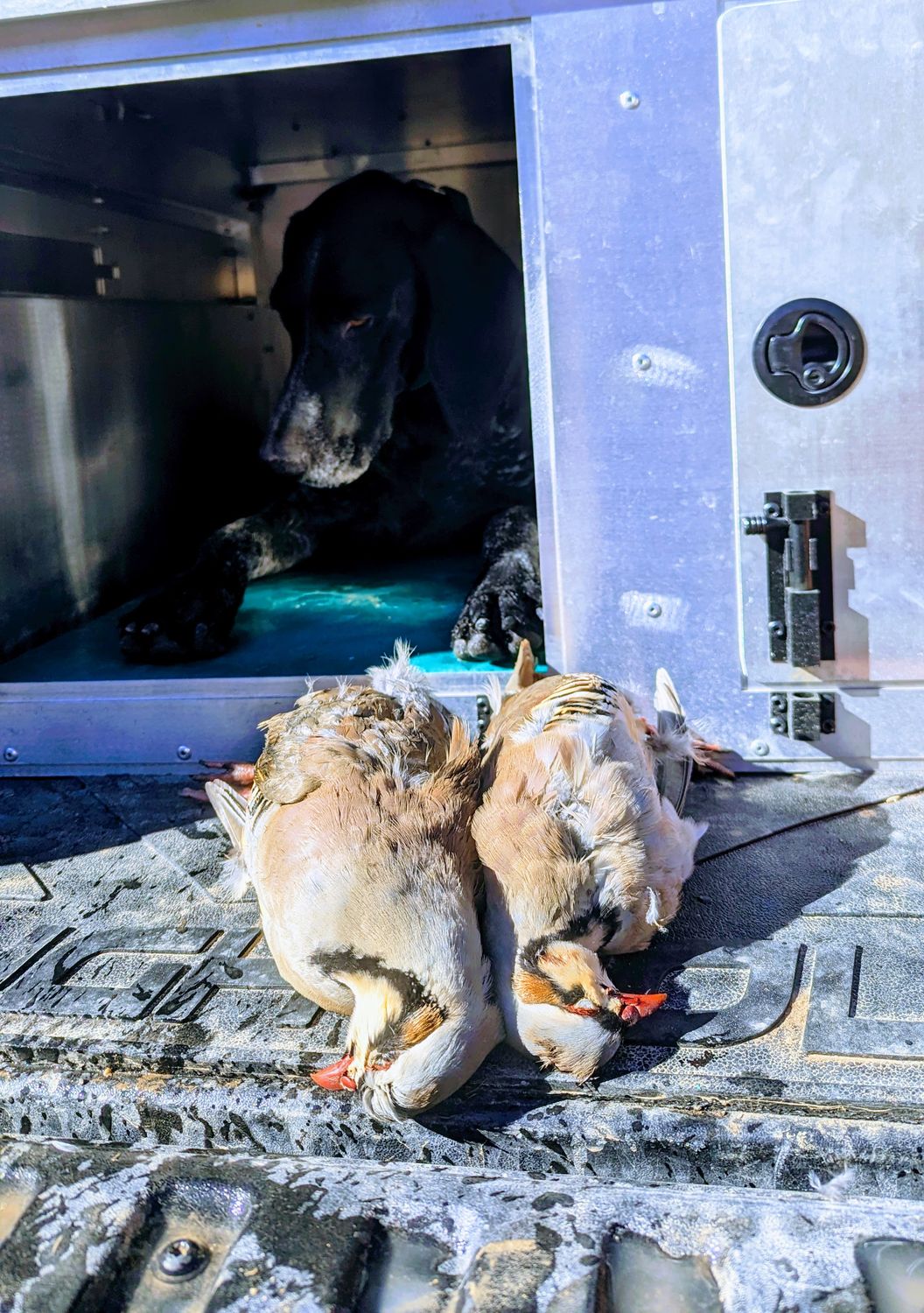 NA Test Entry Fee (4/19/2026)