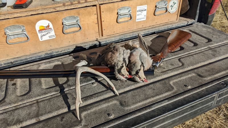 Mock Test Bird Package