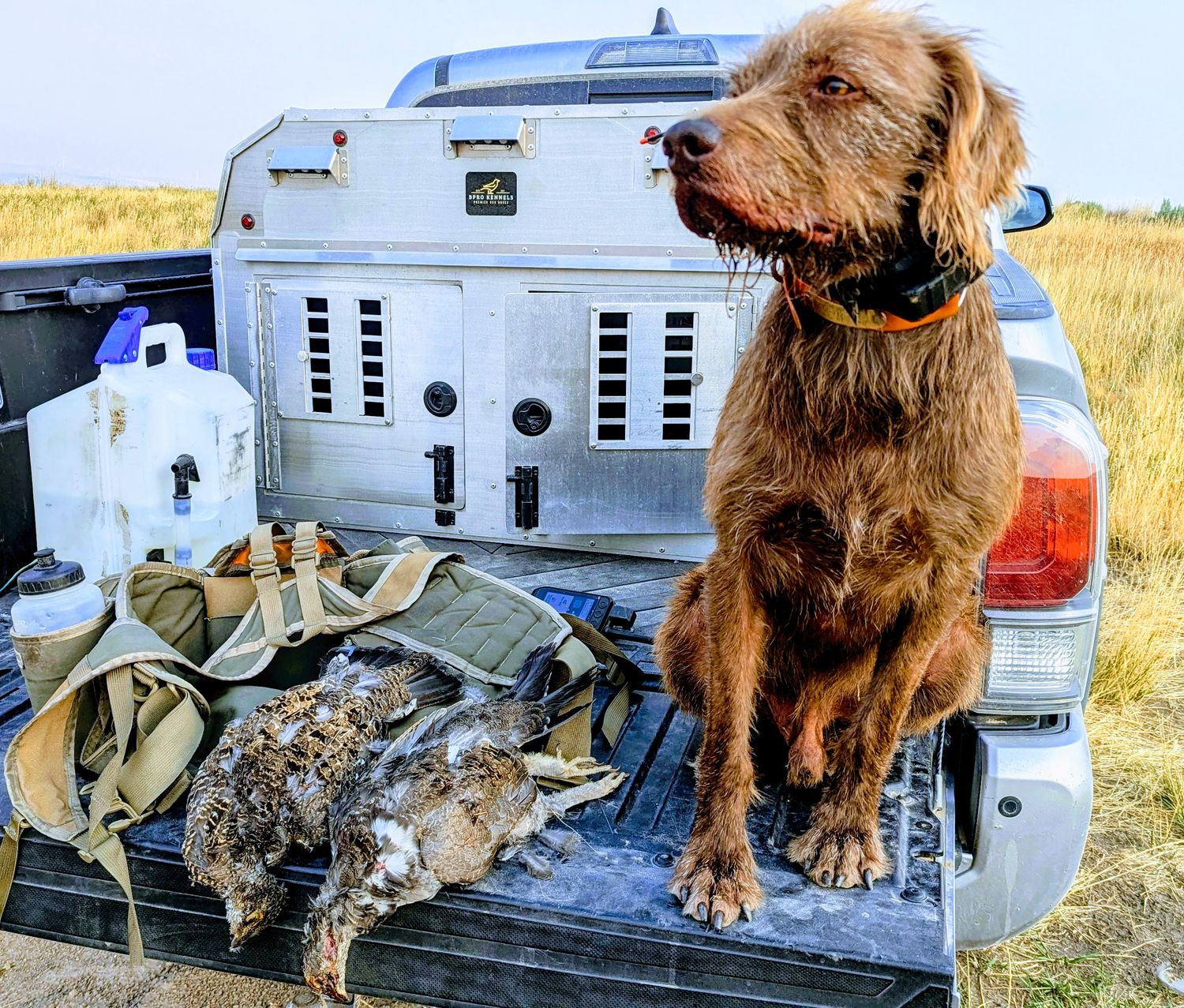 Gun Dog Test Entry Fee (8/21/2026)