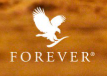 Online Store