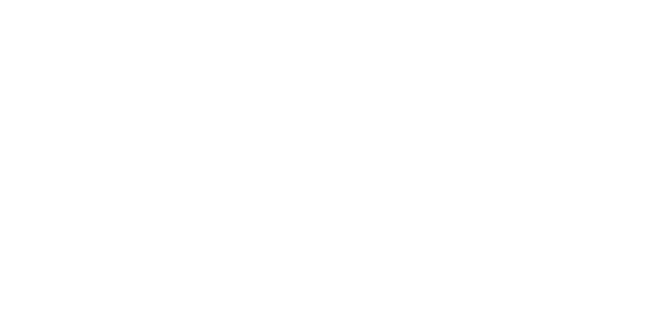Andresini