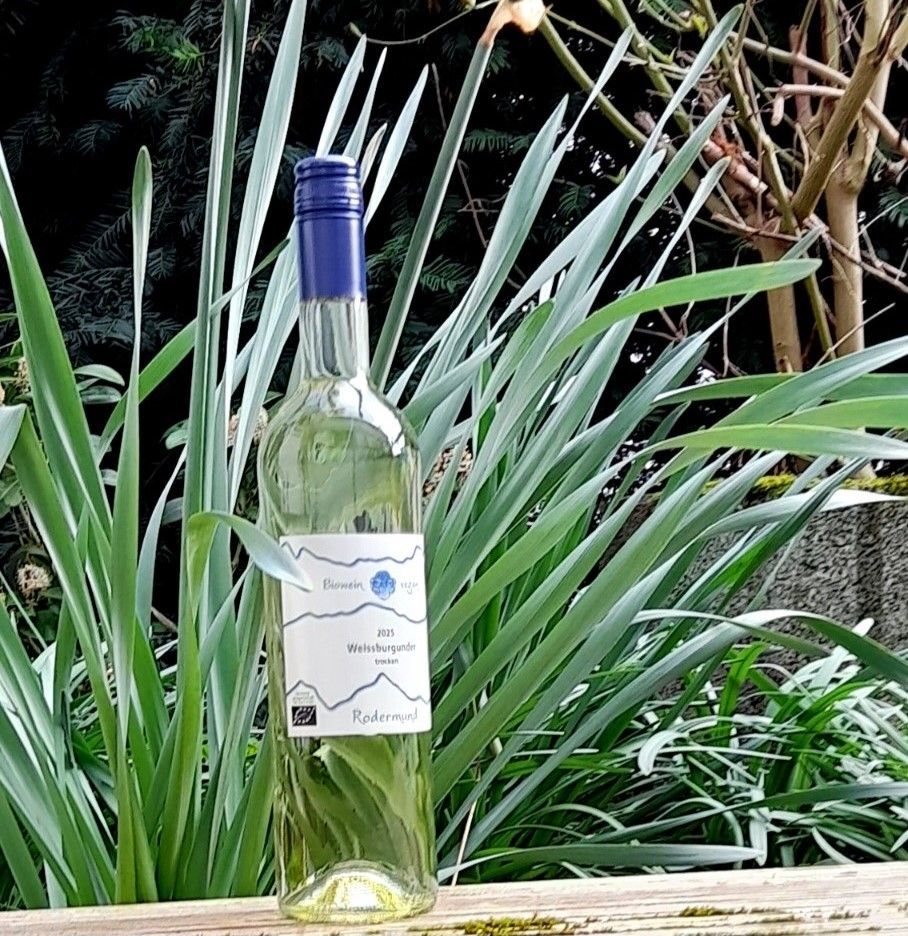 25er Weissburgunder Qualitätswein Mosel trocken