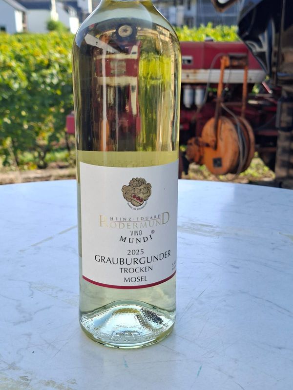 25er Grauburgunder trocken          Qualitätswein Mosel