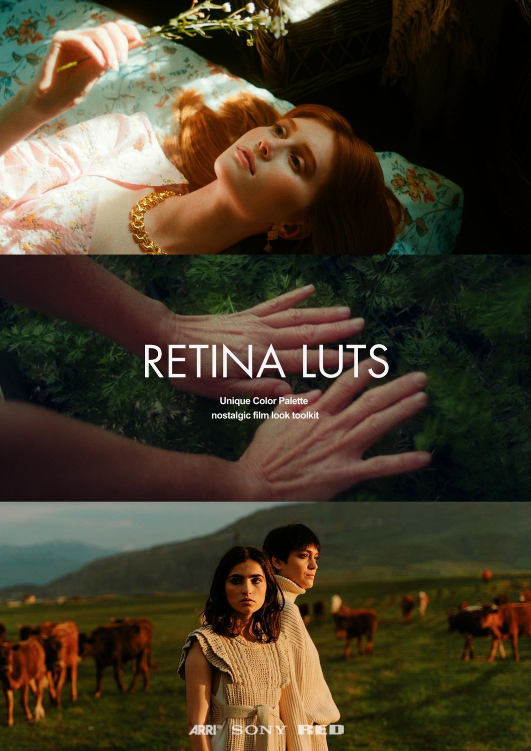 Retina LUTs Retina LUTs