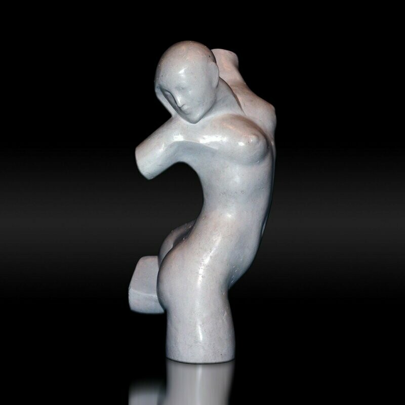 Torso Femenino