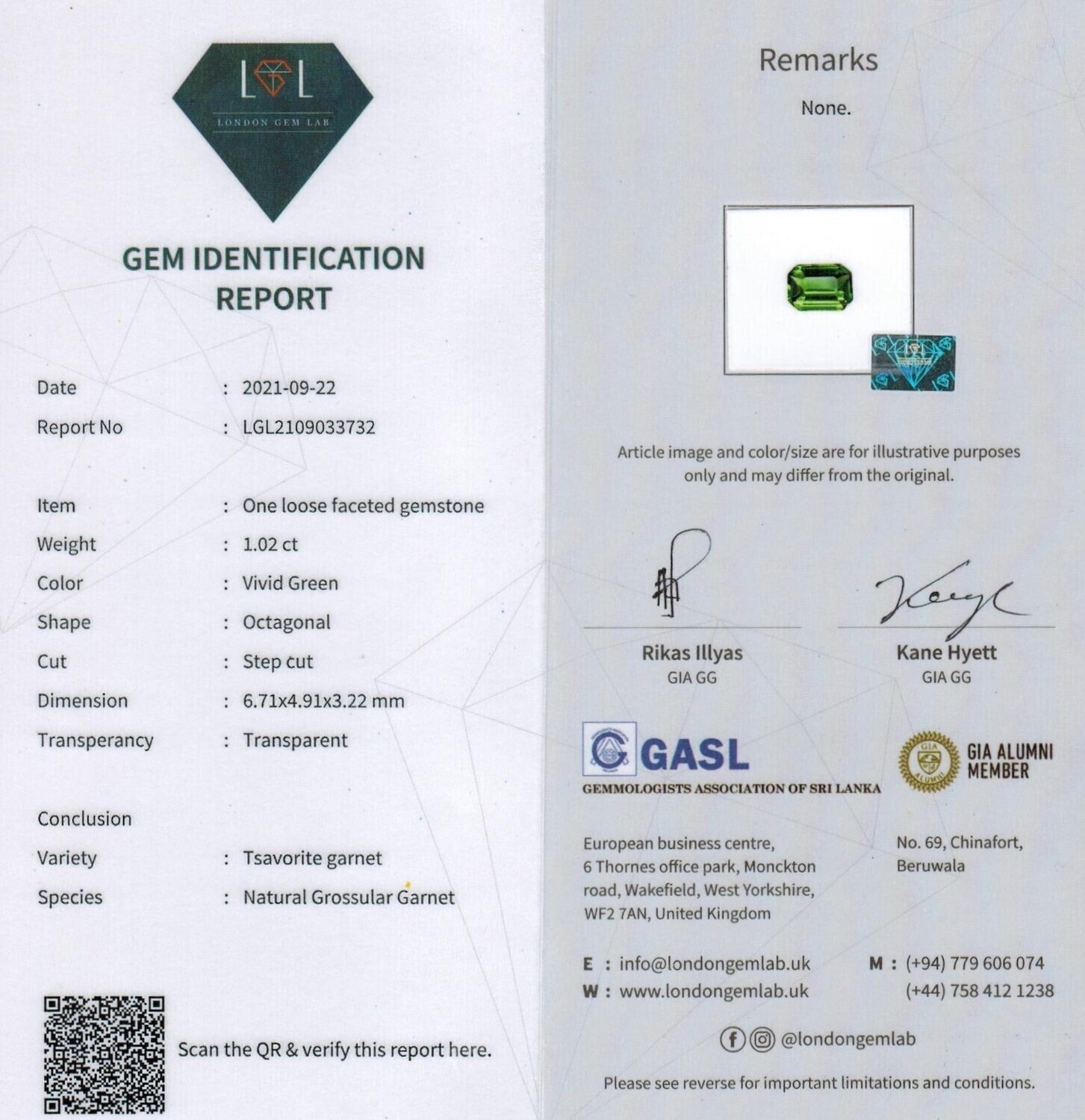 Grenat Tsavorite 1.02 Ct