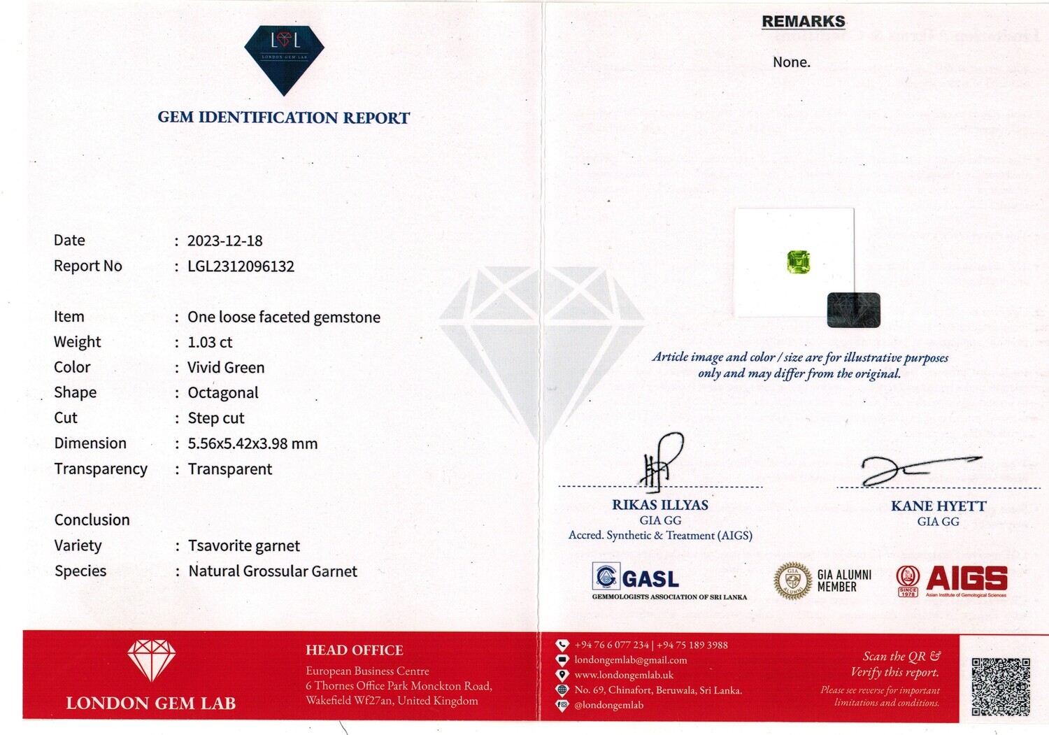 Grenat Tsavorite 1.03 Ct