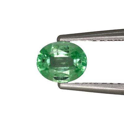 Émeraude 0.56 Ct