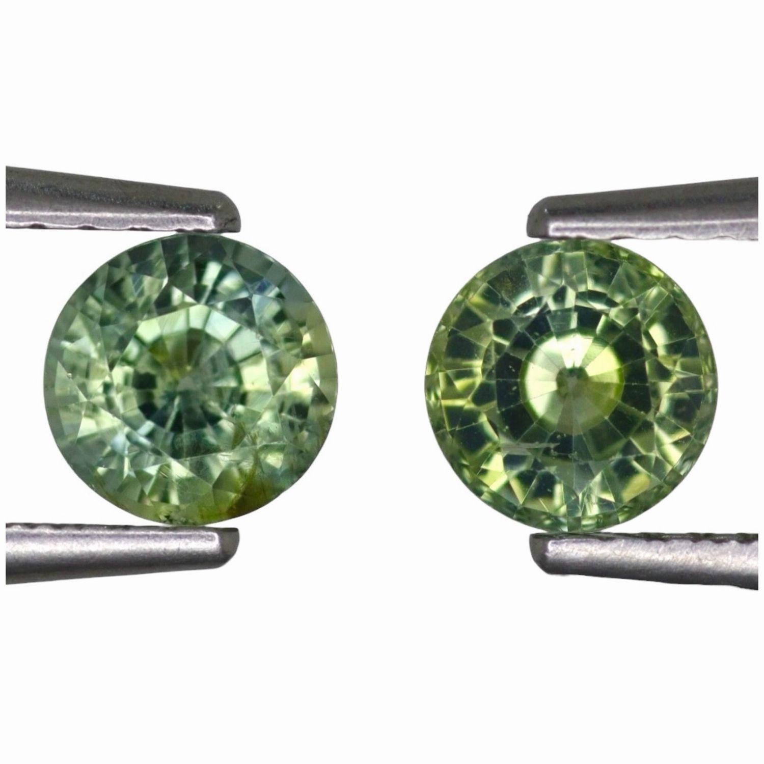 Paire de Saphirs Vert Jaune 1.47 TCt - Non chauffé