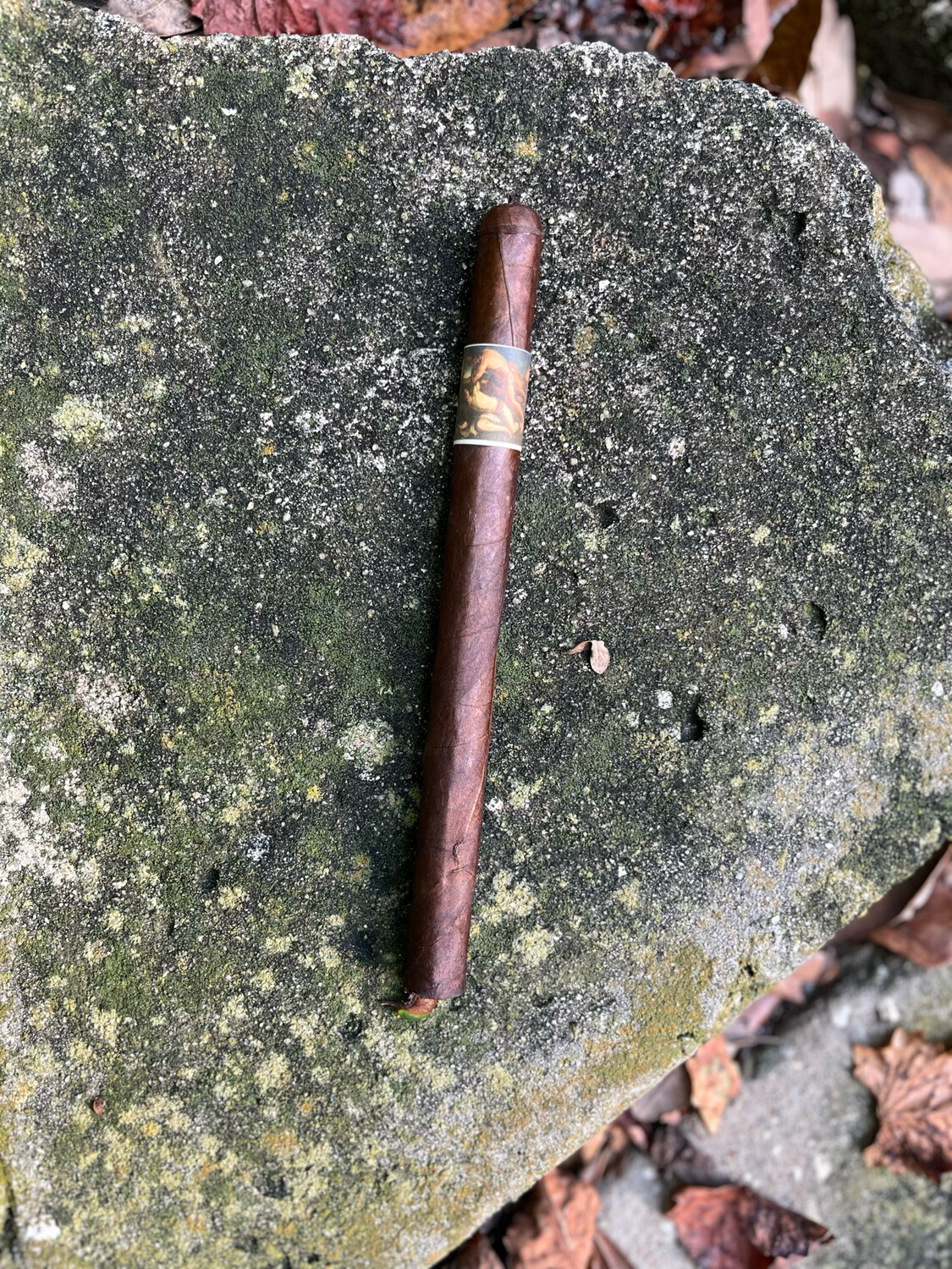 Cain not Abel 7 1/2X38 Lancero-Single
