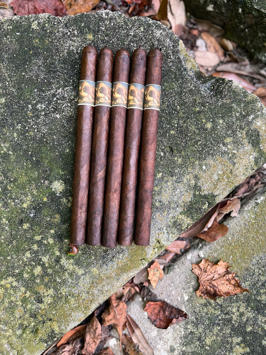 Cain not Abel 7 1/2 x 38 Lancero - 5 PAK