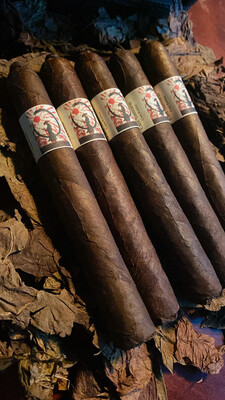 Last Samurai Limited Release 5X54 Robusto - 5 PAk