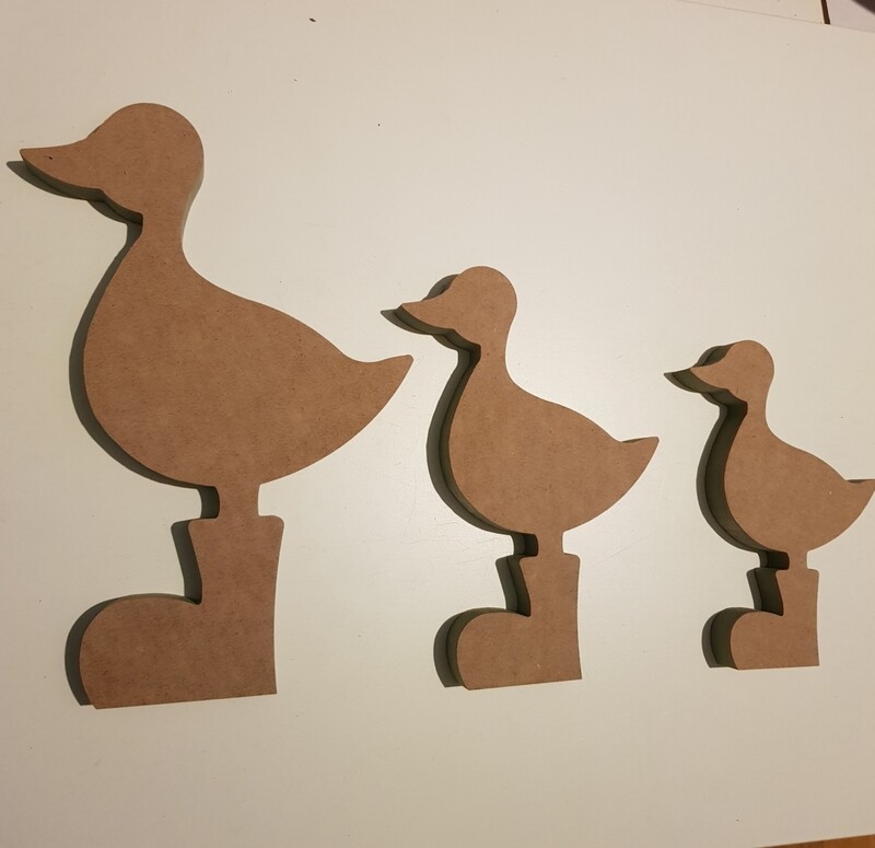 Ducks in Wellies