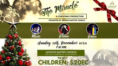 The Miracle - A Christmas Production (CHILDREN)