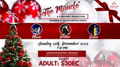 The Miracle - A Christmas Production (ADULTS)