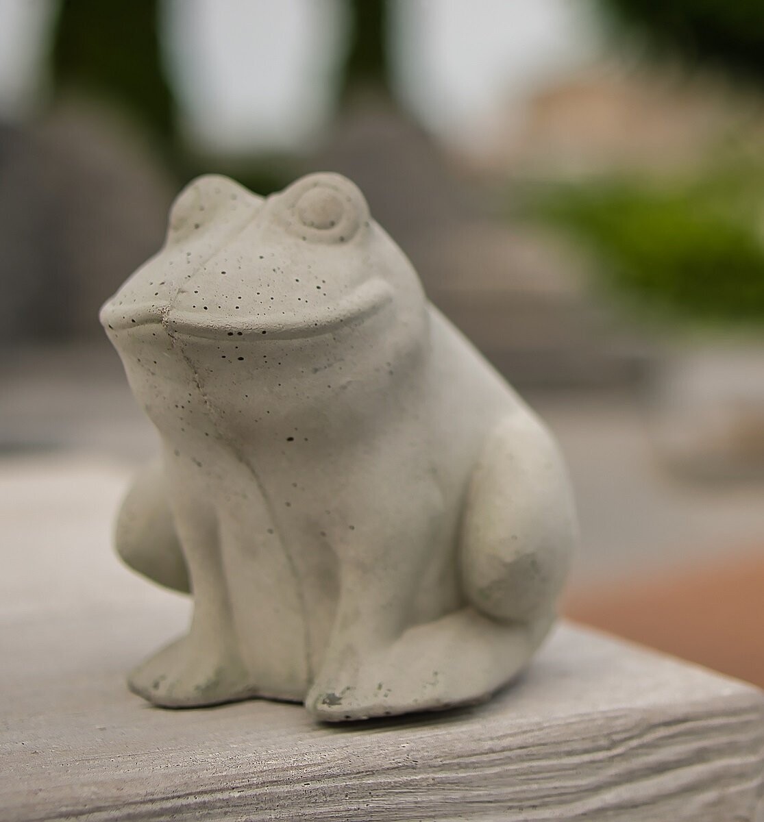 Frosch "Frida"