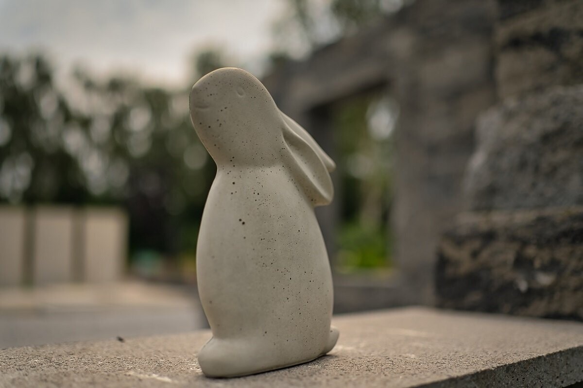 Hase "Pascal"