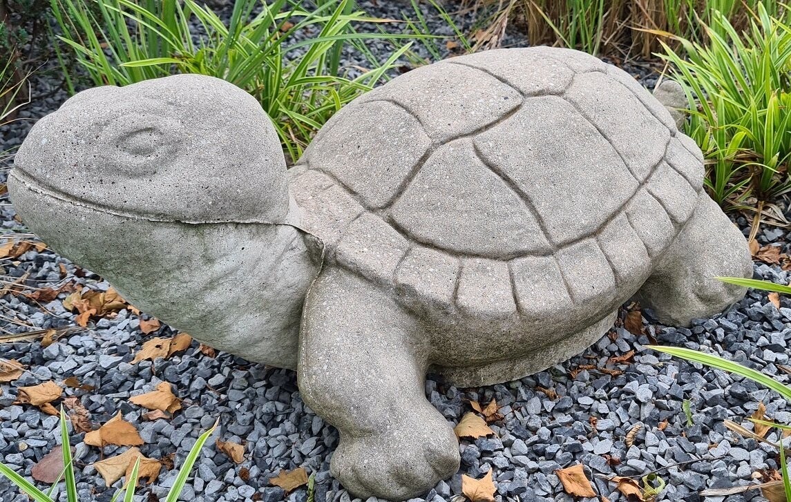 Schildkröte "Jonathan"