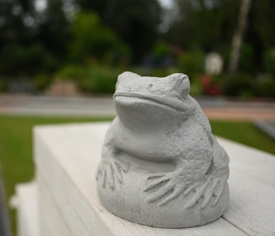 Frosch "Gustav"