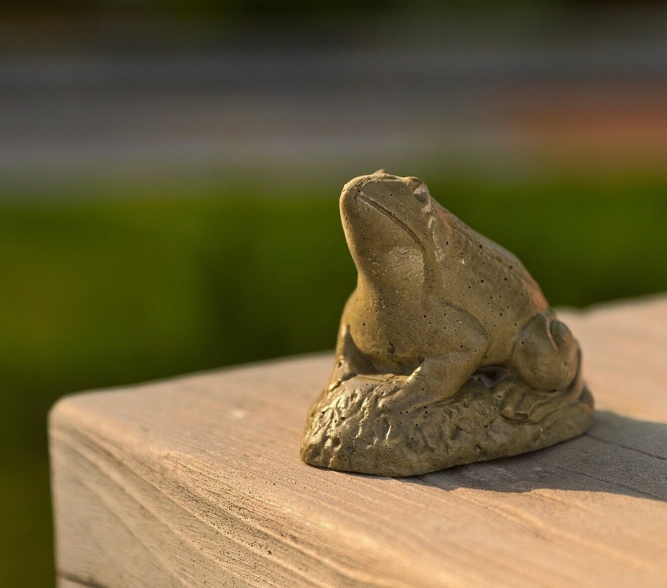 Frosch "Frodo"