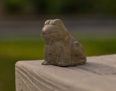 Frosch Frosch "Filou"
