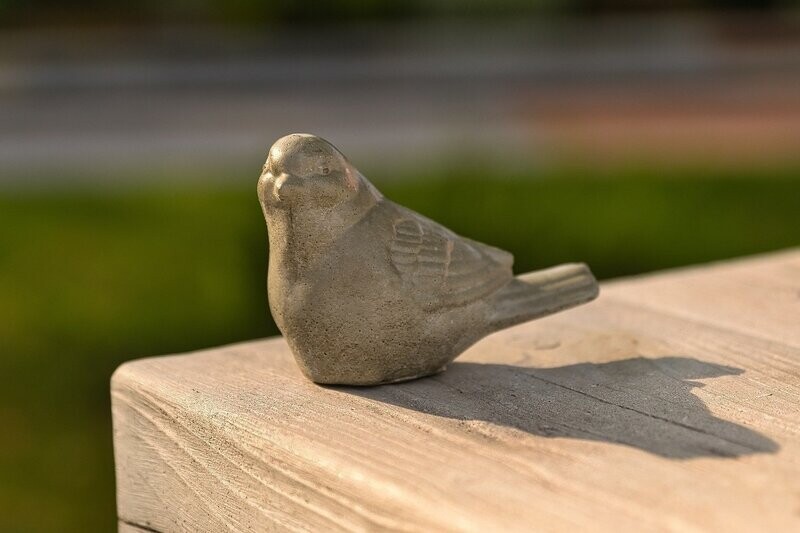 Vogel