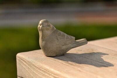 Vogel