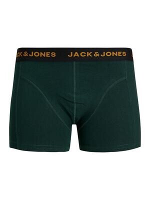 JACCEDRIC TRUNKS Pine Grove