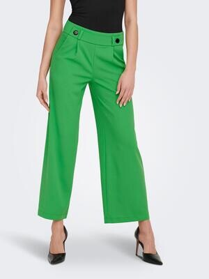 JDYGEGGO NEW LONG PANT JRS NOOS Kelly Green/BLACK BU