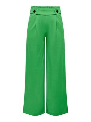 JDYGEGGO NEW LONG PANT JRS NOOS Kelly Green/BLACK BU