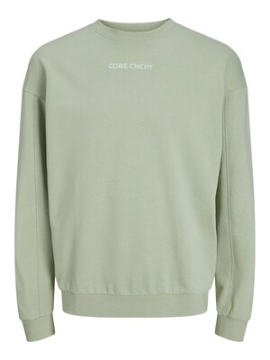 JCOSTAGGER SWEAT CREW NECK LN Desert Sage