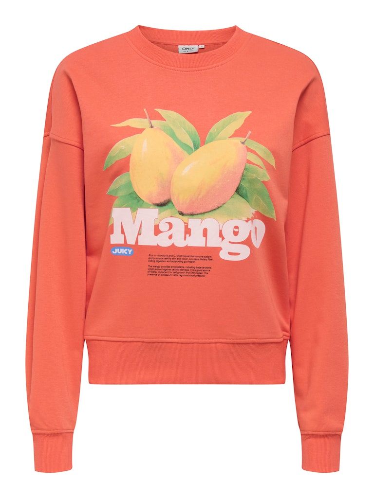 ONLPHILEA L/S FRUIT O-NECK UB SWT Nasturtium/Mango