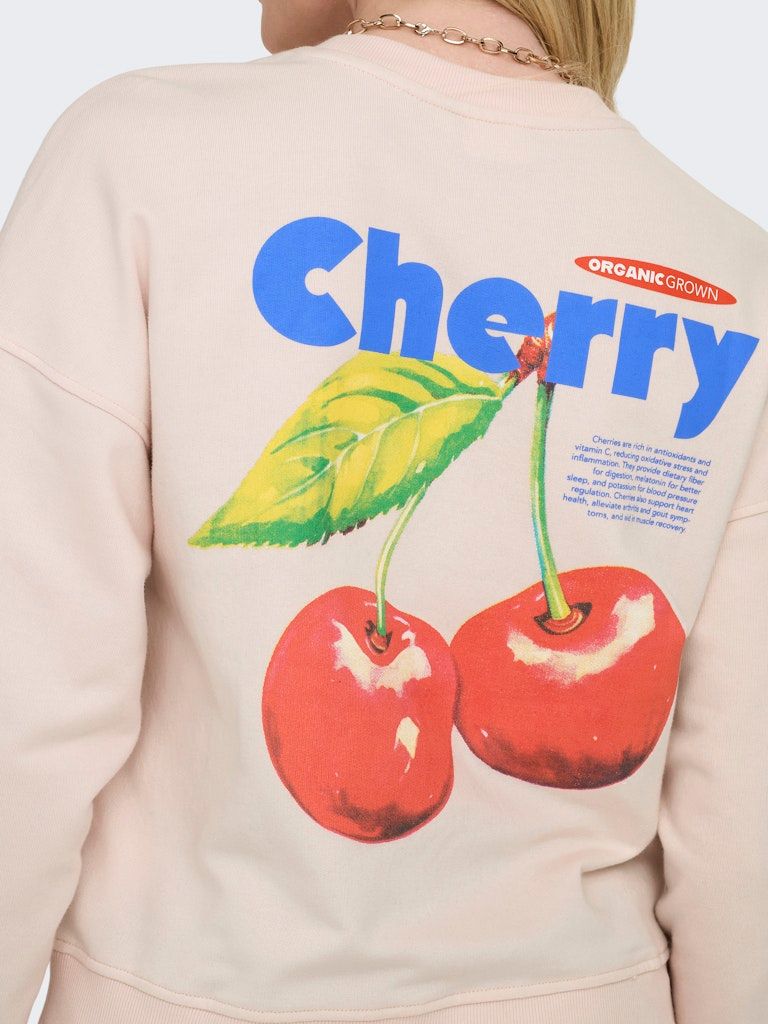 ONLPHILEA L/S FRUIT O-NECK UB SWT Mauve Chalk/Cherry