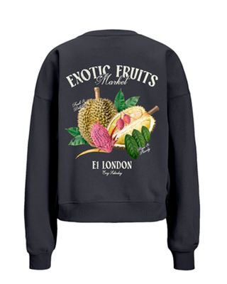 JXMILA RLX LS CREW SWT Dark Shadow-EXOTIC FRUITS