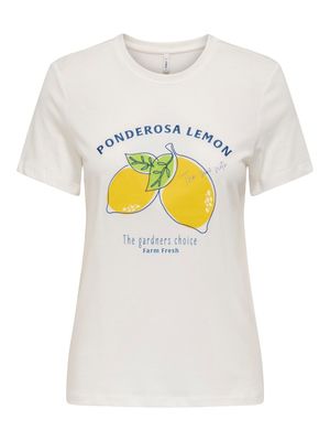 ONLCAMERON LIFE REG S/S TOP BOX CS JRS Cloud Dancer-Ponderose