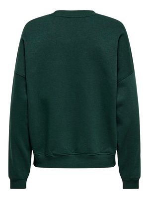 JDYMESA L/S O-NECK EMB SWEAT JRS NOOS Pine Grove/CHAMPS EM