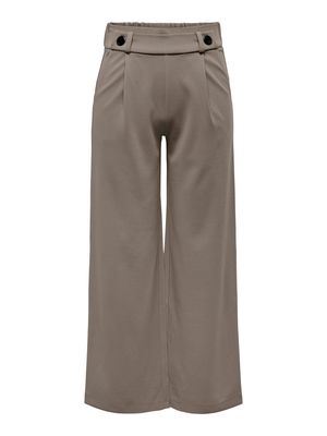 JDYGEGGO LIFE NEW LONG PANT JRS NOOS Driftwood/BLACK BUTT