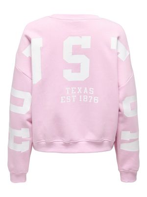 ONLSWEAT L/S BACK/SLEEVE PRINT SWT NOOS Winsome Orchid/BIRCH