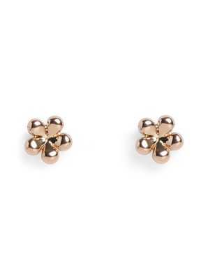 PCTHELLA EARSTUDS PLATED FP NOOS Gold Colour