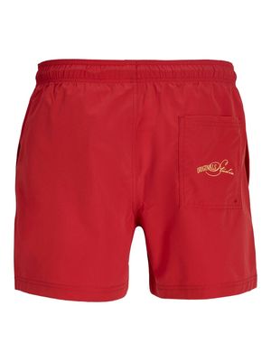 JPSTMAUI SKY SWIM SHORTS STYD SS26 Samba