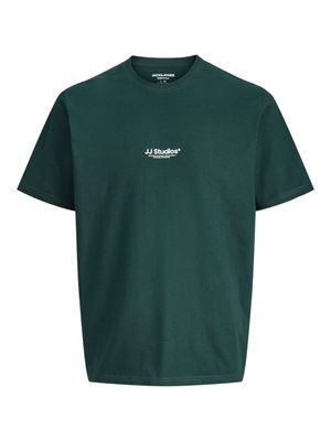 JJESOHO TEE SS CREW NECK NOOS Scarab