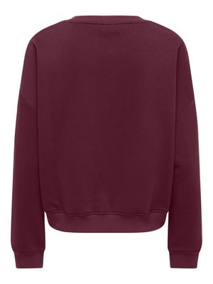 ONLSWEAT LIFE L/S CREW O.SIZE STATE NOOS Fig/ICONIC - TEDDY