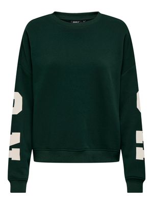 ONLSWEAT L/S BACK/SLEEVE PRINT SWT NOOS Scarab/BIRCH HOUSTON