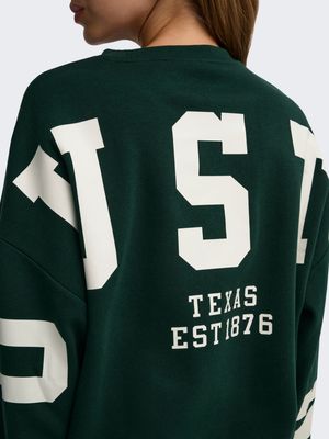 ONLSWEAT L/S BACK/SLEEVE PRINT SWT NOOS Scarab/BIRCH HOUSTON