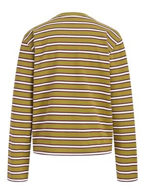 JXSOPHIA BOXY LS STRIPE TEE JRS SN Green Moss-Vanilla Ice-Winetas