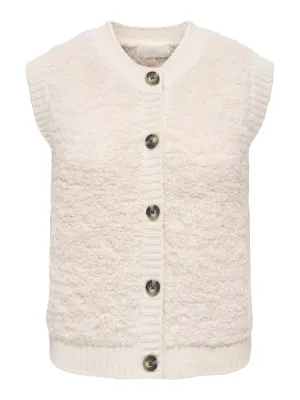 JDYEIRA LIFE S/L ON BUTTON VEST KNT NOOS Birch