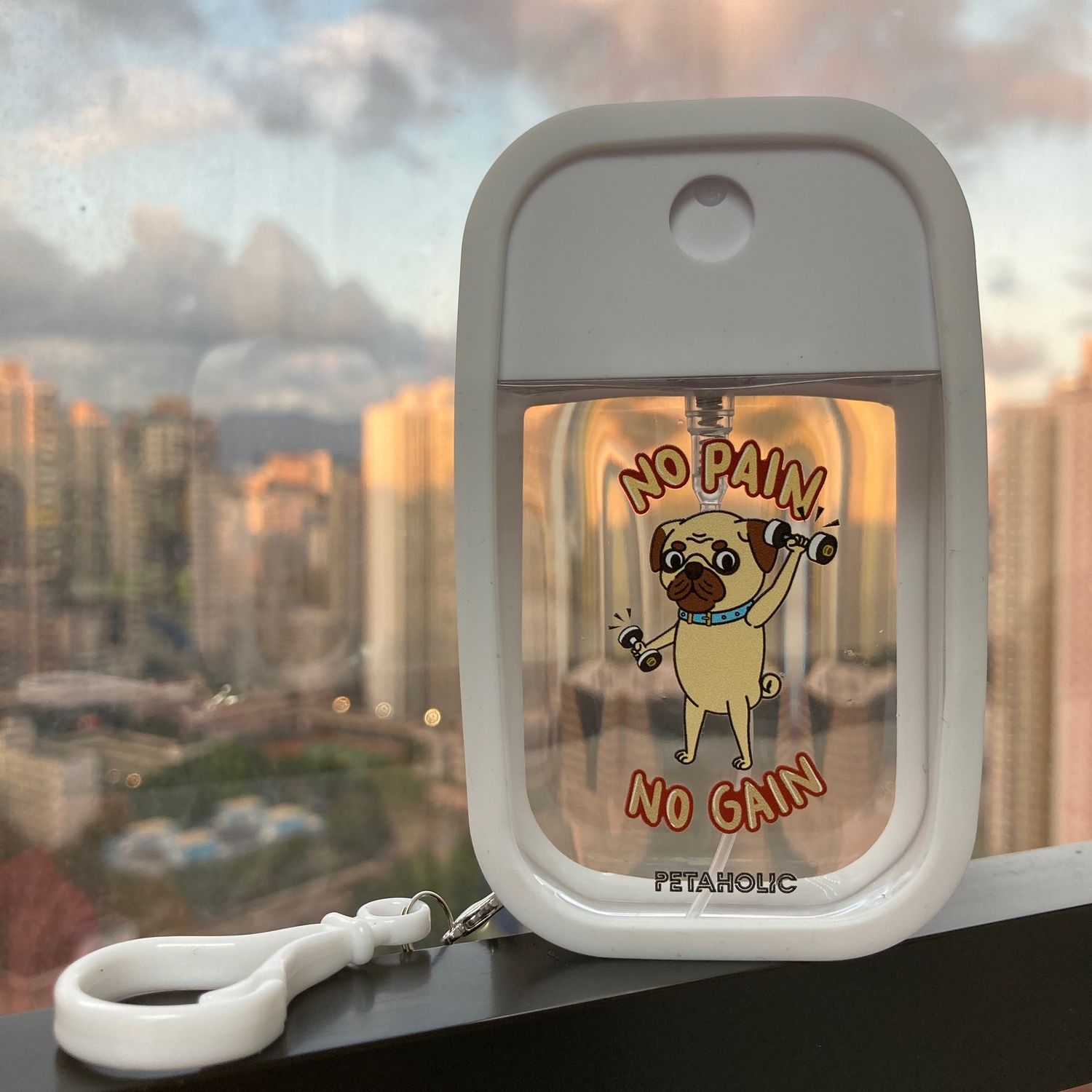 &quot;No Pain No Gain&quot; Pug Portable Spray Bottle