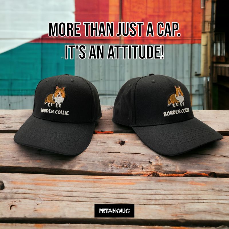 Border Collie Embroidery Baseball Cap