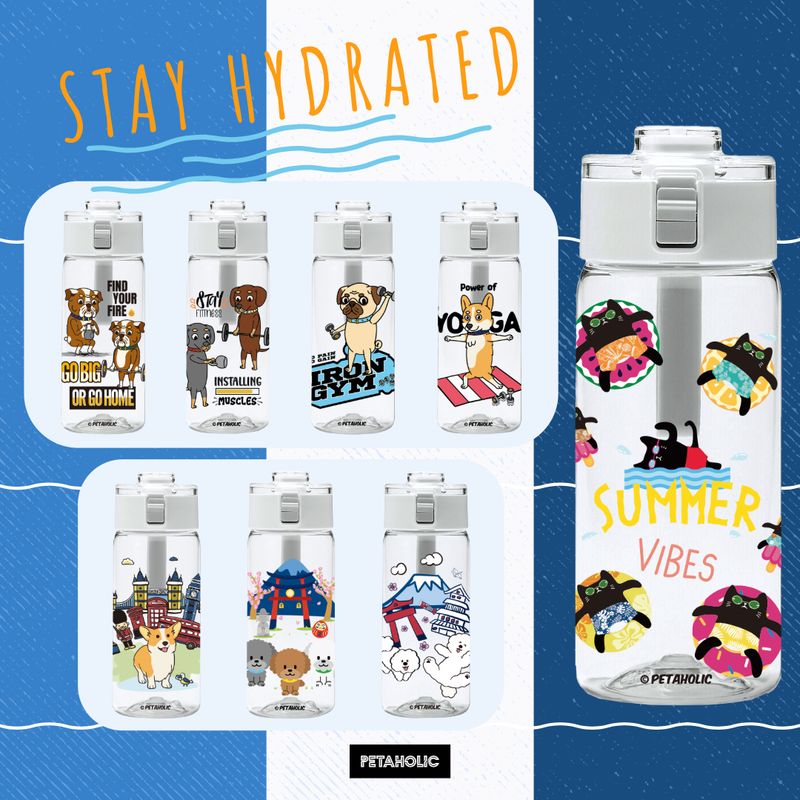 Pug NPNG - 550ml Travel Water Bottle